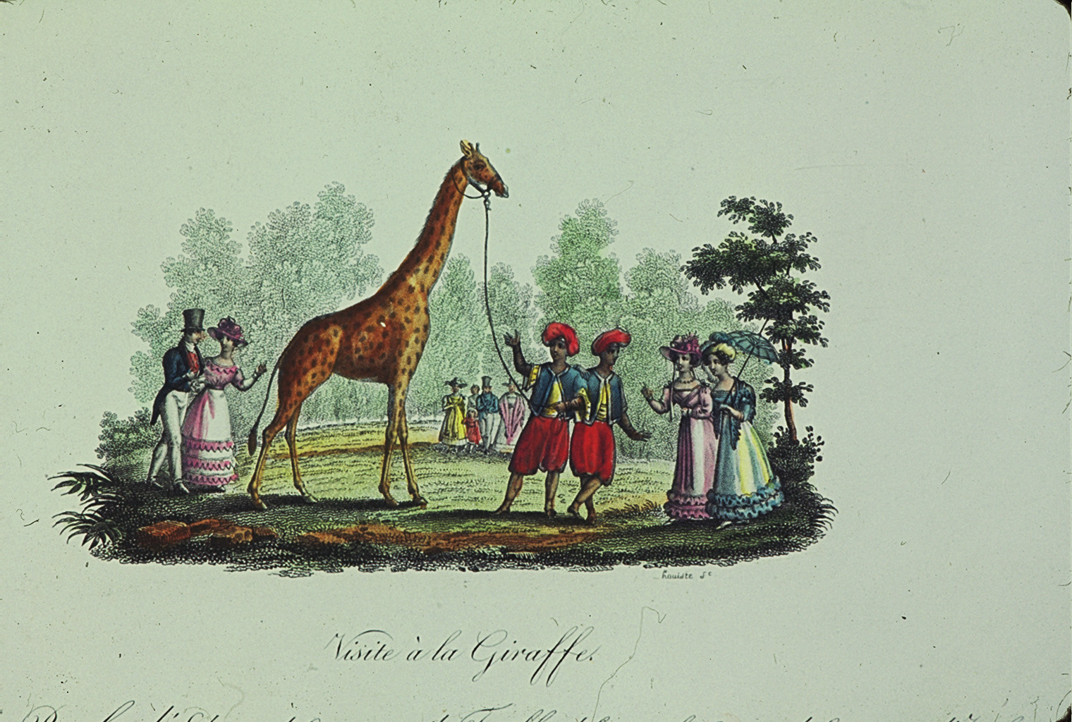 Visite à la Giraffe (c) Coll. Aynaud